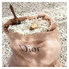 Dior J’adore Eau de Parfum – Elegant Floral Women’s Fragrance