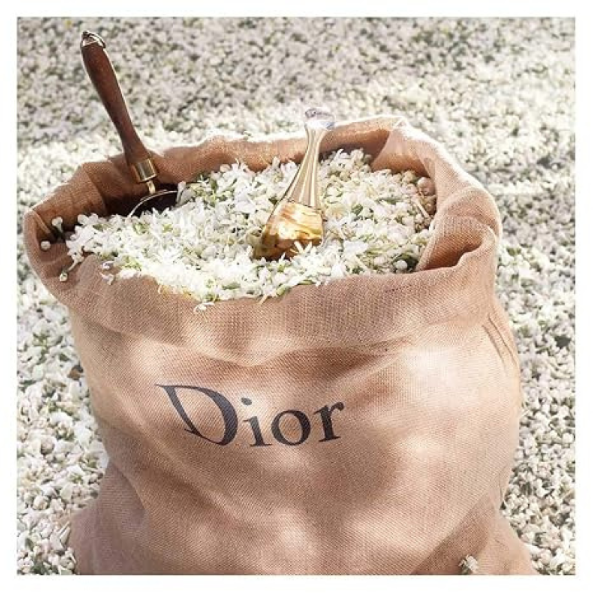Dior J’adore Eau de Parfum – Elegant Floral Women’s Fragrance