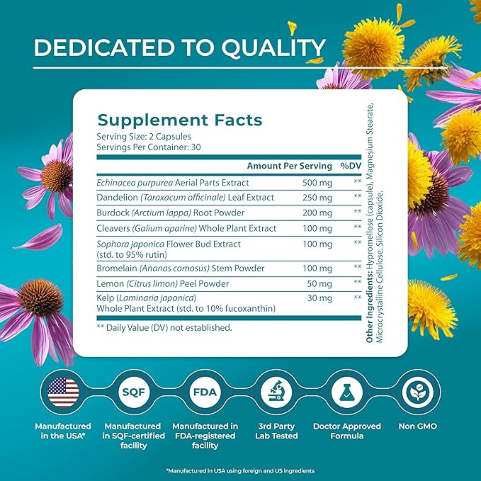 PureHealth Research Lymph System Support – 60 Vegetarian Capsules
